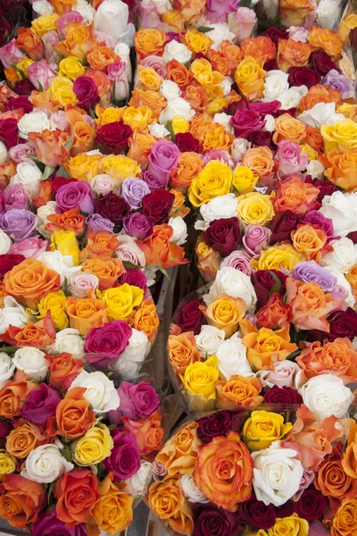 Gekleurde rozen op verkoop in markt, Bonn — Stockfoto