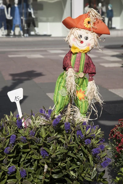 Flores e bonecas para venda em Marktplatz, Square, Bonn — Fotografia de Stock