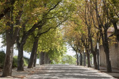 Blanco Caballo bakış, Pamploma bir yaklaşım