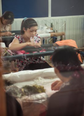 Vietnamlı kadınları ipek giysiler nakışlı