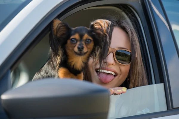 여자와 자동차에 있는 개 — 스톡 사진