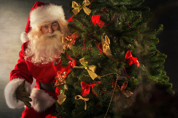 Дед Мороз украшает елку
