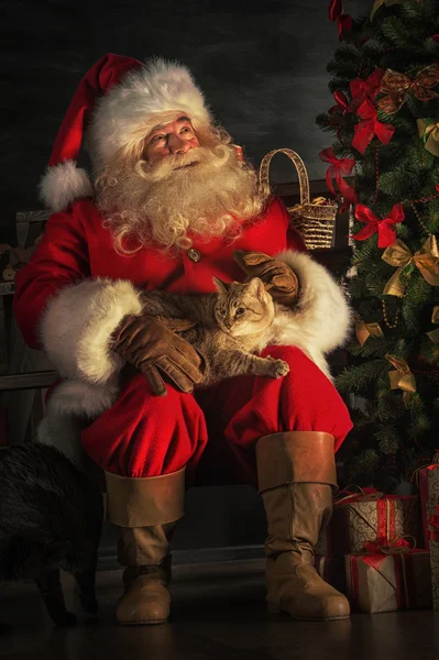 Санта Клаус возле рождественской елки — стоковое фото