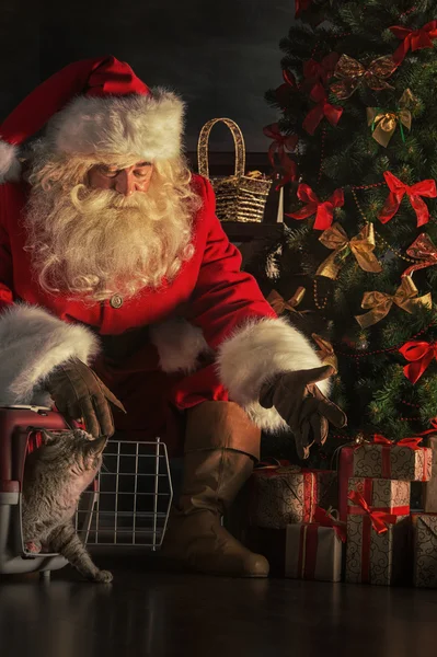 Santa Claus con gato — Foto de Stock