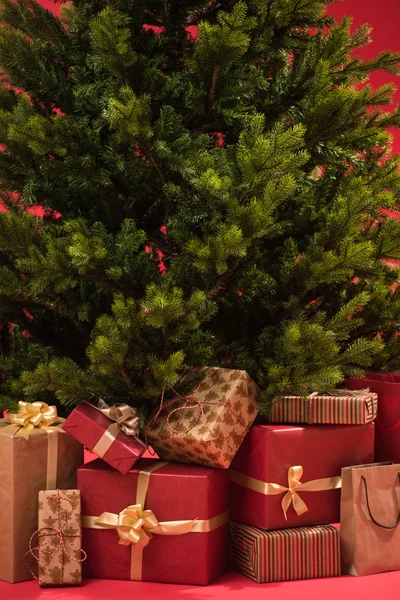 Christmas tree with gifts — Stock Photo, Image
