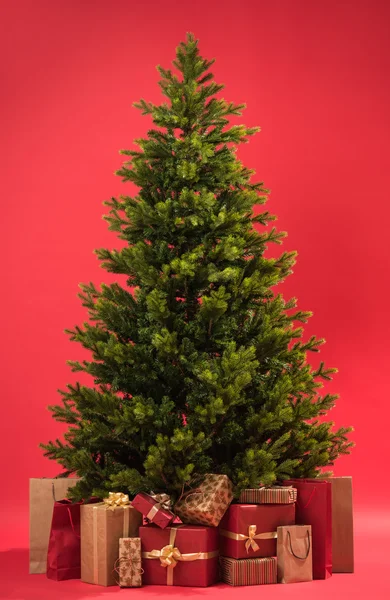 有礼物的圣诞树 — 图库照片