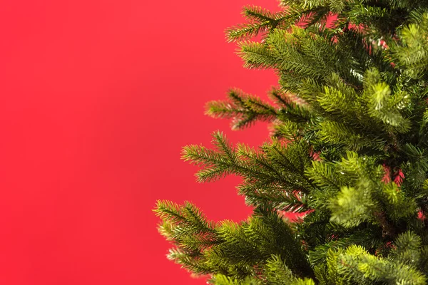 Groene kerstboom — Stockfoto