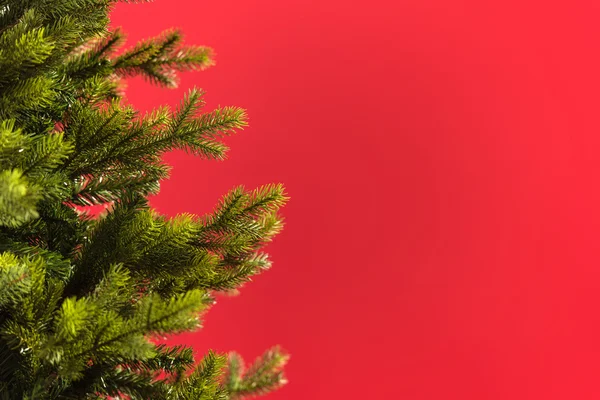 Julens grønne tre – stockfoto