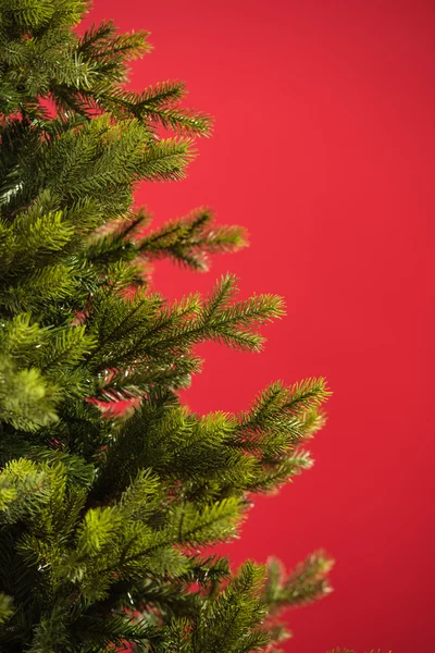 Groene kerstboom — Stockfoto