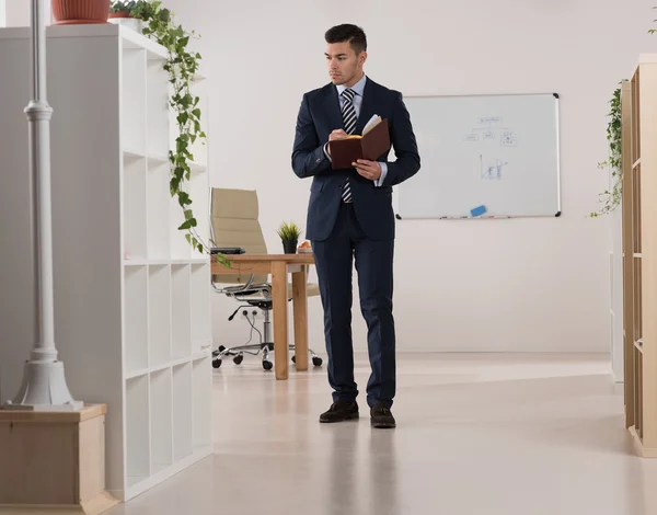 Retrato del hombre de negocios ocupado — Foto de Stock