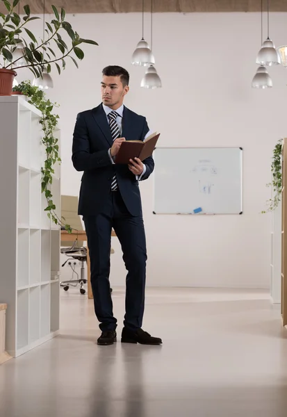 Retrato del hombre de negocios ocupado — Foto de Stock