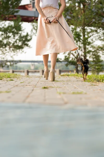 犬と一緒に歩く女性は — ストック写真