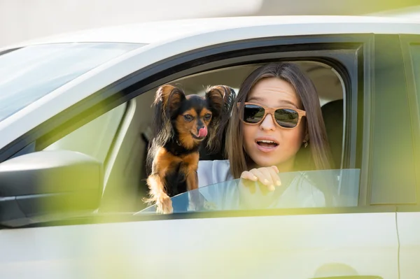 Женщина и собака в машине — стоковое фото