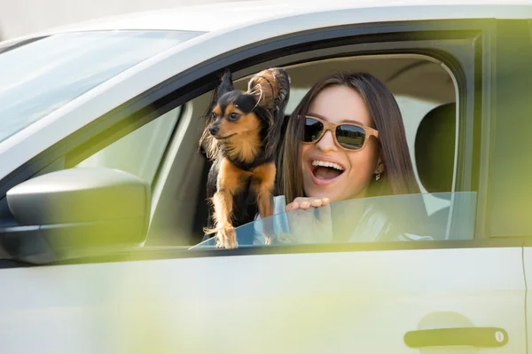 Woman and dog in car — Stock Photo, Image