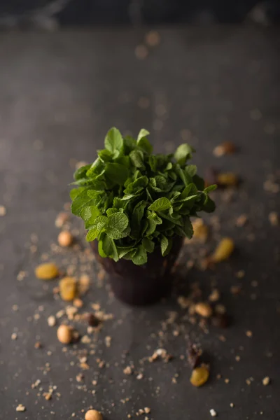 Massa färsk mynta blad — Stockfoto