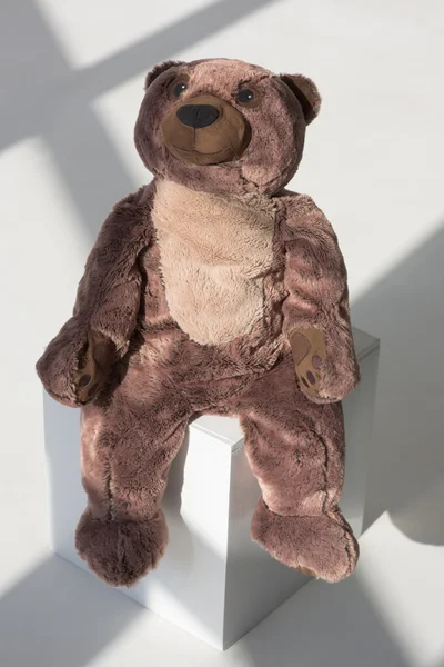 Teddy Bear on Cube — Stock Photo, Image