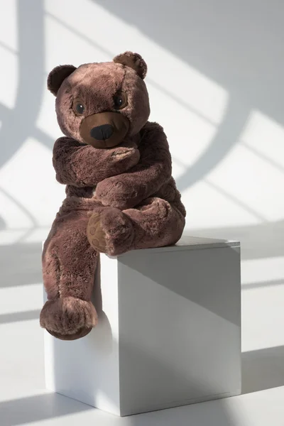 Teddy Bear on Cube — Stock Photo, Image