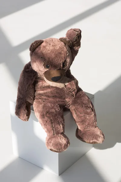 Urso de pelúcia no cubo — Fotografia de Stock