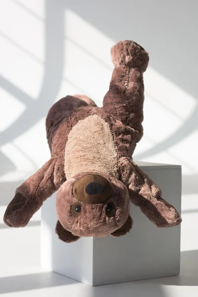 多维数据集上的玩具熊 — 图库照片