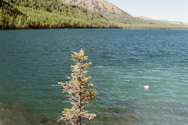 Mountain Lake op zomer — Stockfoto