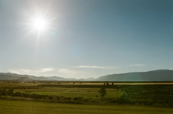 Mooie zomerse platteland — Stockfoto