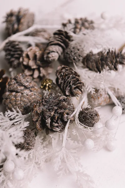 Frosty pine Cones — Stock Photo, Image