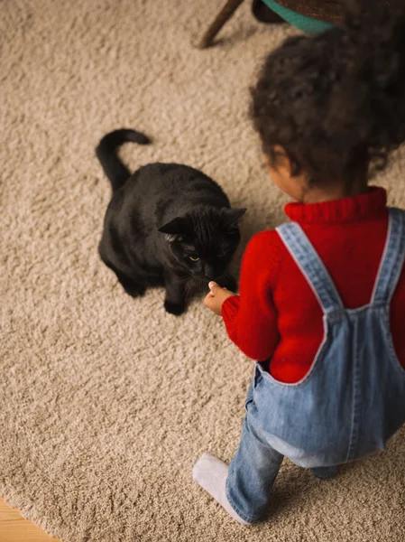 Flicka som leker med katt — Stockfoto