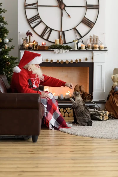 Santa Claus krmení jeho kočka — Stock fotografie