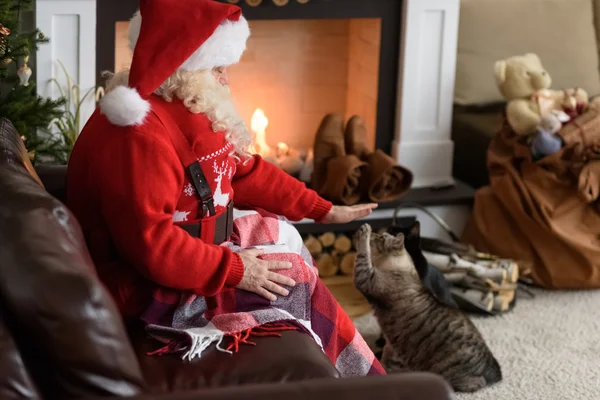 집에서 고양이 함께 산타 클로스 — 스톡 사진