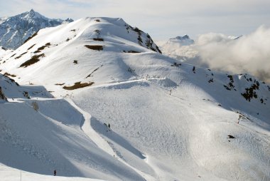 Fransızca Pyrenees görünümünü