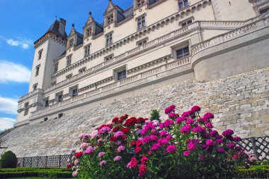 Chateau de Pau