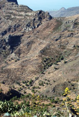 Kanarya Adaları'nda manzara