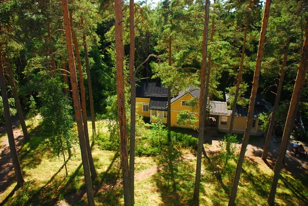 Kleines Haus im Wald — Stockfoto