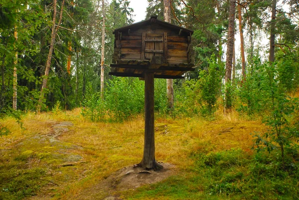 Vogelhaus mitten im finnischen Wald in seurasaari, Helsinki, Finnland — Stockfoto