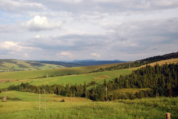 Oekraïens groene vlaktes — Stockfoto