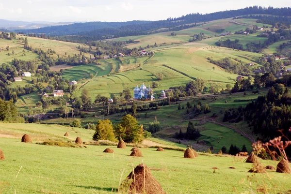 Ukraiński zielonej równiny — Zdjęcie stockowe