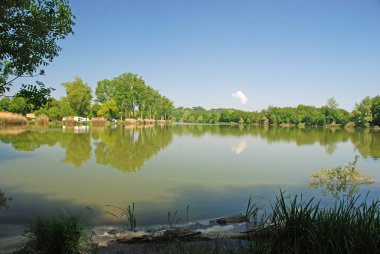 Göl ve orman manzarası