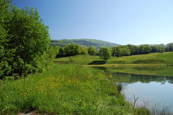 Limousinenlandschaft — Stockfoto