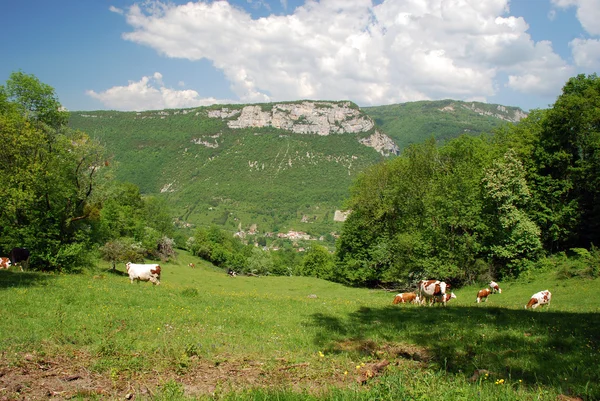 Landscape of Bugey region — Stock Photo, Image