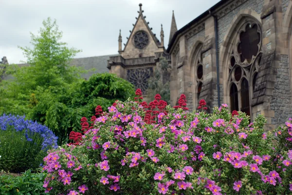 花と背景の大聖堂 — ストック写真