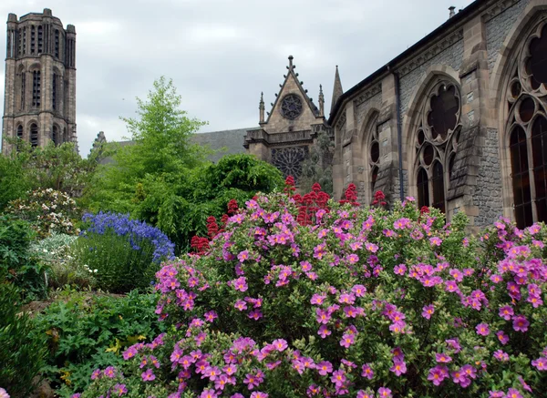 花と背景の大聖堂 — ストック写真