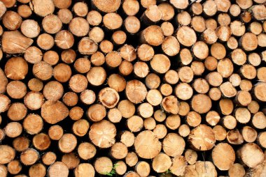 Wooden logs background