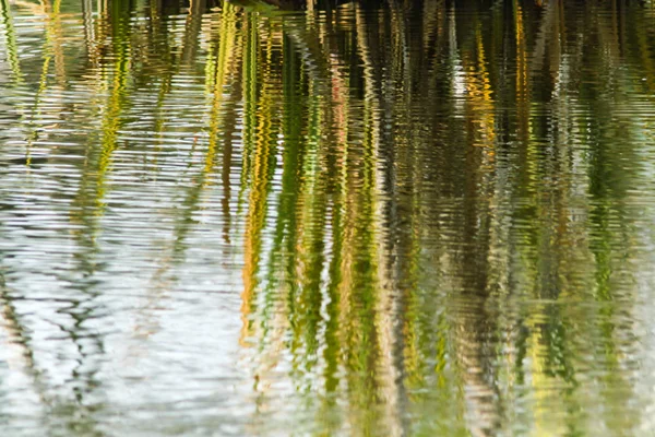 Abstract Vegetation Reflection 01 — Stock Photo, Image