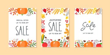 Sonbahar Satışı. Sebze, böğürtlen, sonbahar yaprakları ve bitkilerle dolu bir hasat seti. Vektör illüstrasyonu 10 EPS.