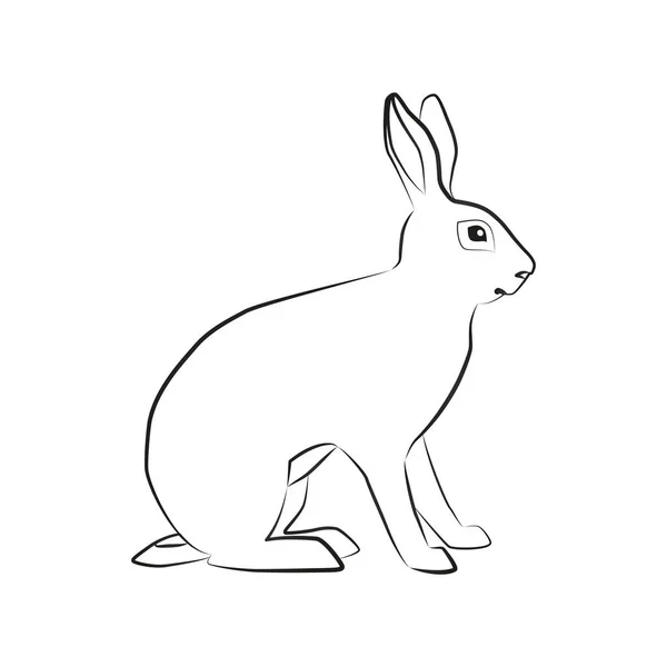 Hase Umrissene Silhouette Illustration Eines Sitzenden Hasen Isoliert Auf Weißem — Stockvektor