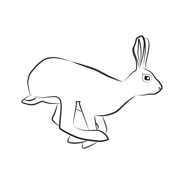 Hase Umrissene Silhouettenillustration Eines Laufenden Hasen Isoliert Auf Weißem Hintergrund — Stockvektor