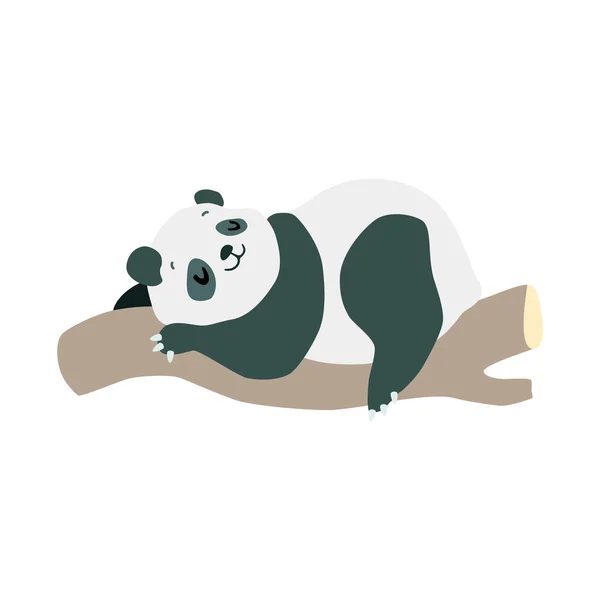 Pequeño Panda Linda Ilustración Divertido Panda Bebé Durmiendo Árbol Aislado — Vector de stock