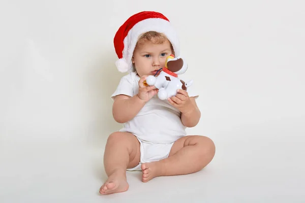 かわいい赤ちゃんでサンタの帽子とボディスーツに座っている床に手にプラスチック製の犬 彼のおもちゃで遊んでいる幼児 夢のような顔の表情で離れて見て クリスマスプリセットを持っています — ストック写真