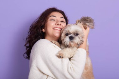 Neşeli bir kadın, küçük bir Pekin köpeğini kucaklıyor, birlikte eğleniyor, dostça ilişkiler kuruyor, koyu renk saçlı bayan kameraya olumlu bakıyor, menekşe arka planına karşı duruyor..