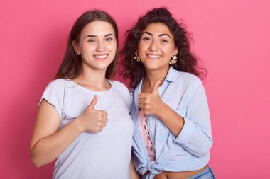 Güzel görünümlü, büyüleyici, büyüleyici, neşeli, koyu renk saçlı kadınların portresi. Parlak gül arka planında iki baş parmağını kaldırmış, gülümseyen kadınlar kameraya bakıyor, gündelik gömlekler giyiyor..